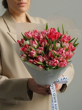 Розовые тюльпаны 31 шт 