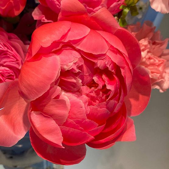 May bloom