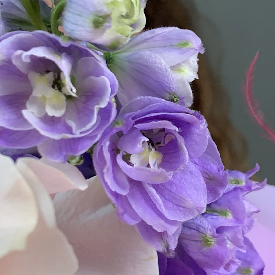 Сливовый зефир 