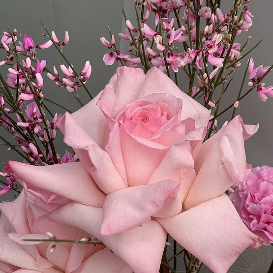 Ласковый взгляд