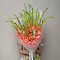 Моно из гладиолусов