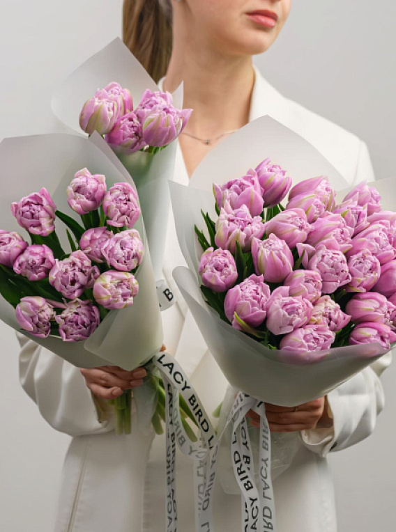 Моно тюльпанов лавандовых