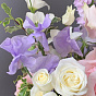 Blooming dreams