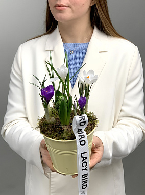 звонкая капель