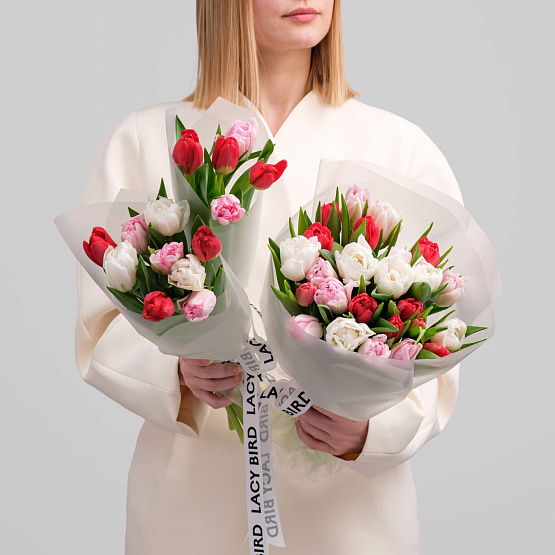 Моно тюльпанов розово-бело-красных