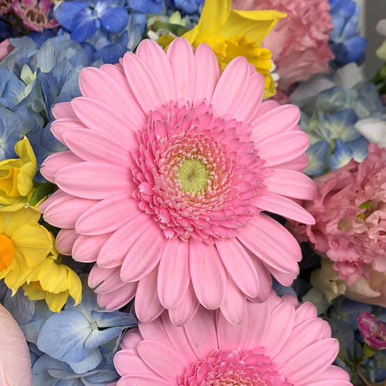 весенние блики