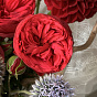Признак страсти