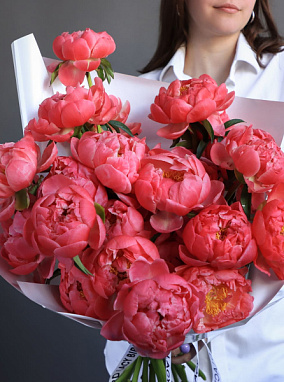 Пионы Coral Charm