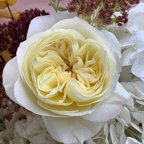 Осенняя палитра