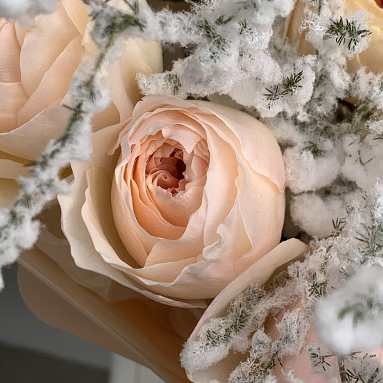 Снежная Джульетта 