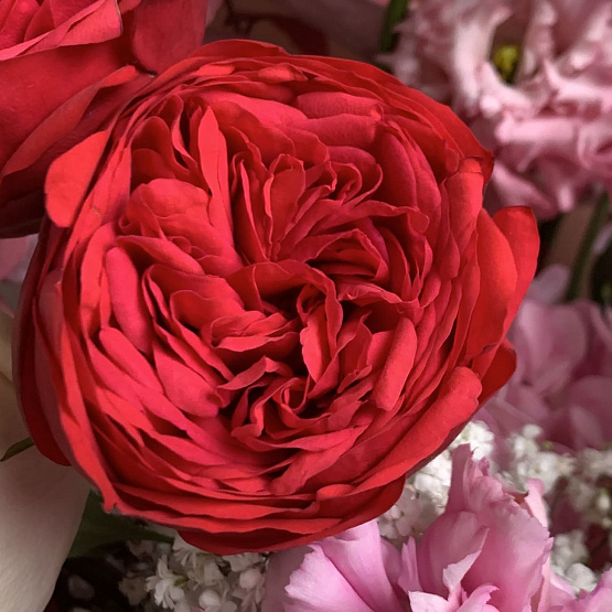 The romance of autumn