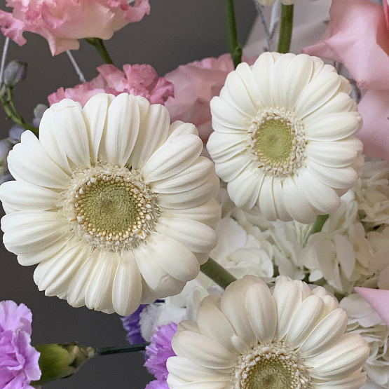 Кристальный рассвет 