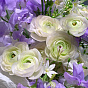 Bouquet &quot;in a lilac haze&quot;