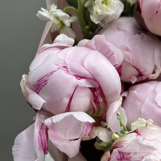 Весеннее кружево