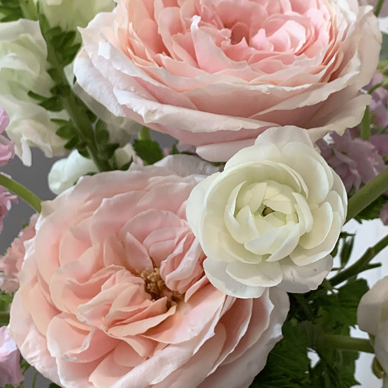 Gentle May