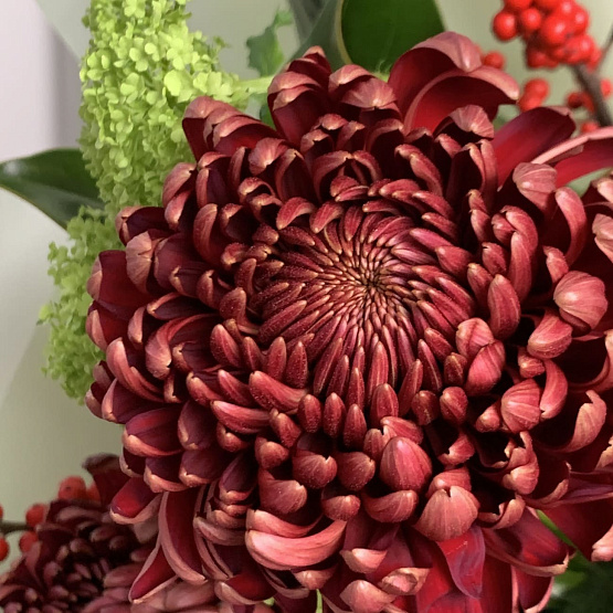 Карнавал страсти