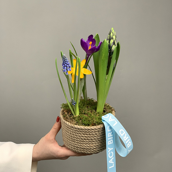 весенние пташки