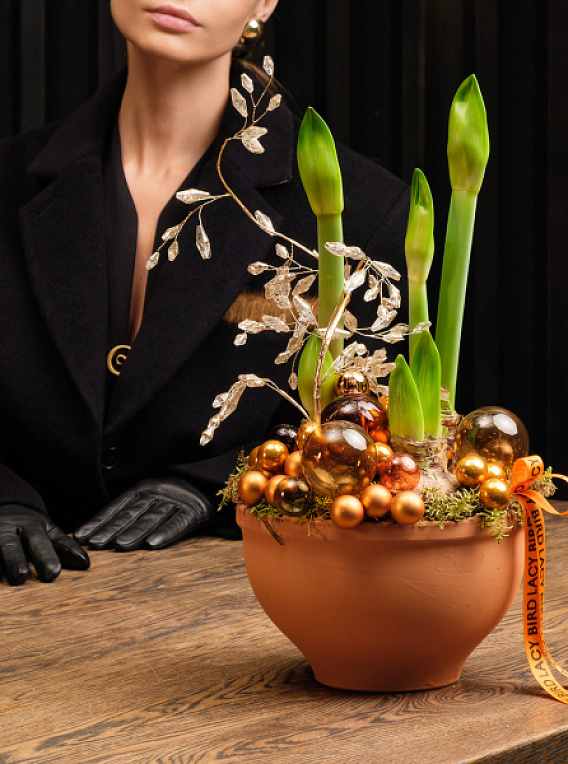 Композиция с амариллисами «Пряности и сладости»