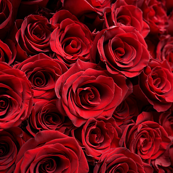 Монобукет «Сердце романтики»