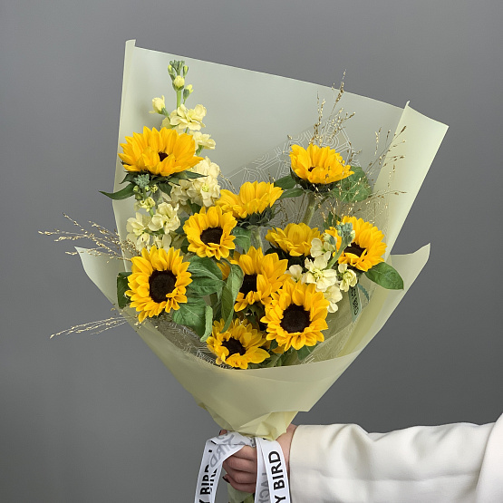 The moment of the sun