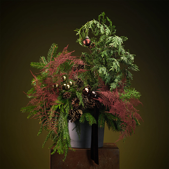 Сет №3 «Тайны леса»