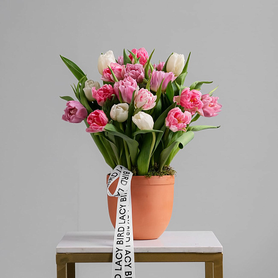 Кашпо с тюльпанами «Март»