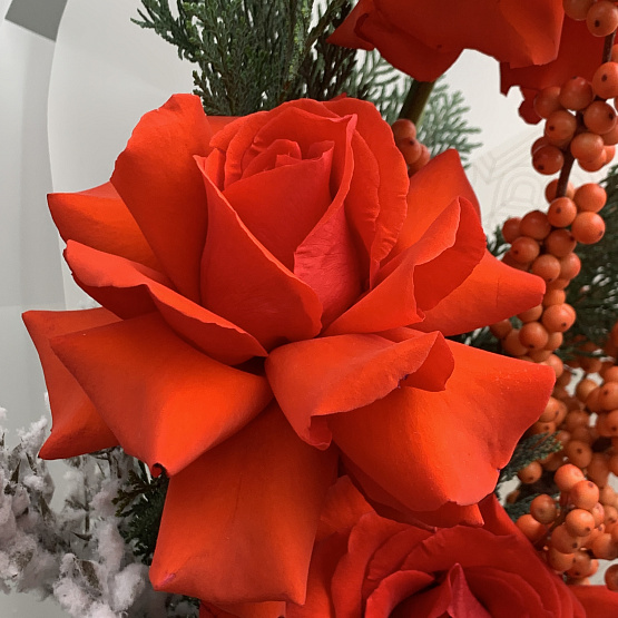 Зимний комплимент 