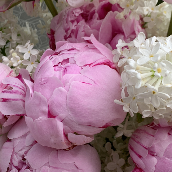 The scent of inspiration