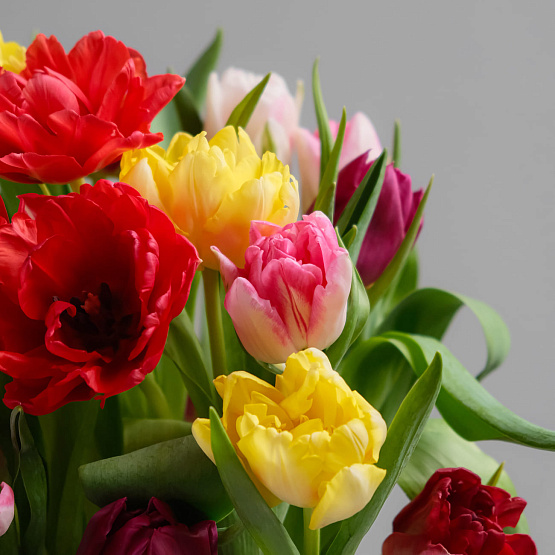 Кашпо с тюльпанами «Весеннее»