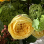 Fragrant Symphony