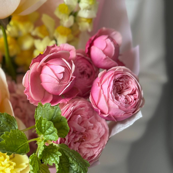 Melody of roses