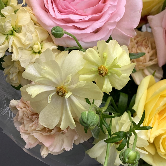 Блики света