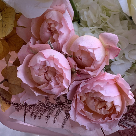 Осенняя палитра