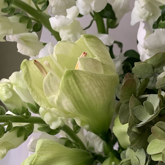 Ручей в горах