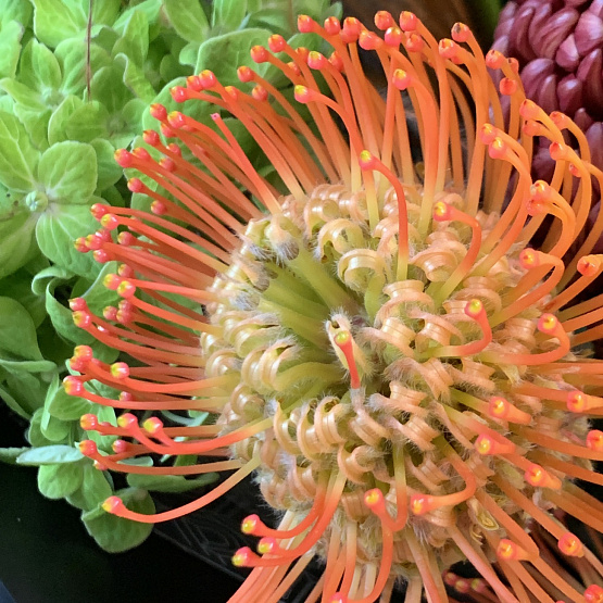 Тропический вулкан 