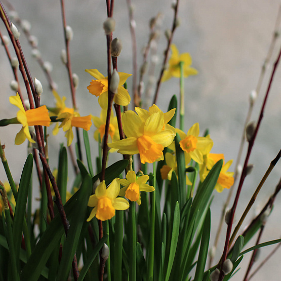 Композиция «Любимый садик»