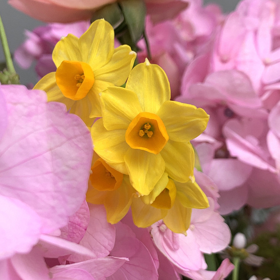 палитра счастья