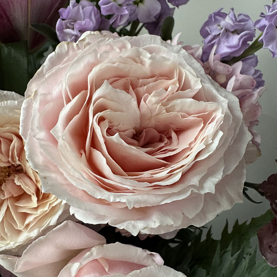 Объятие сумерек 