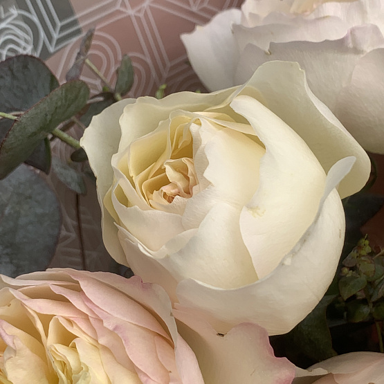 В королевской оранжерее 