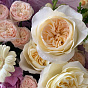 Curtsey of love