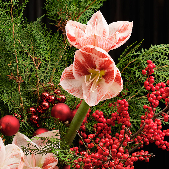 Букет «Пряности и сладости»