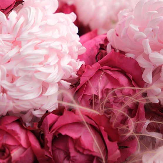 Дуобукет с хризантемой и кустовой розой