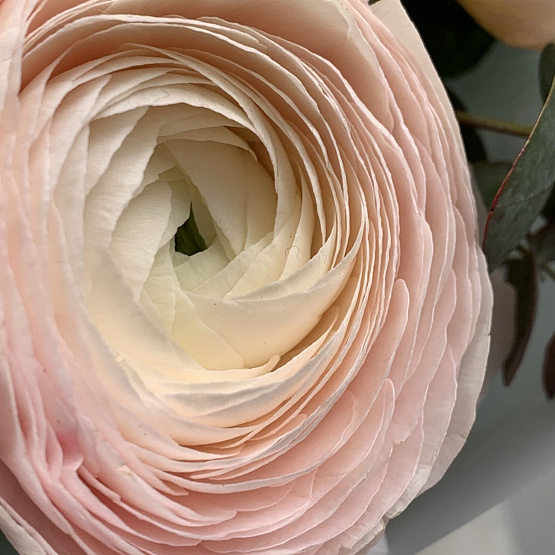 Магия весны