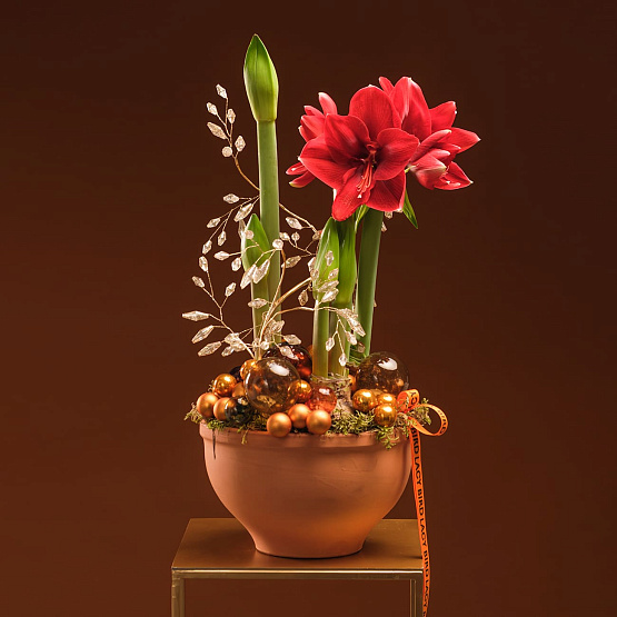 Композиция с амариллисами «Пряности и сладости»