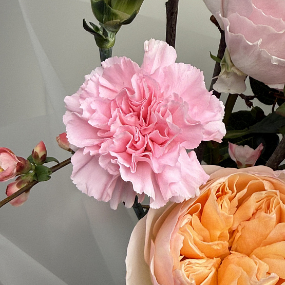 Тонкие линии