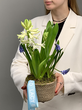 весенняя пора