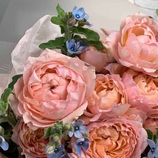 Мелодия нежности