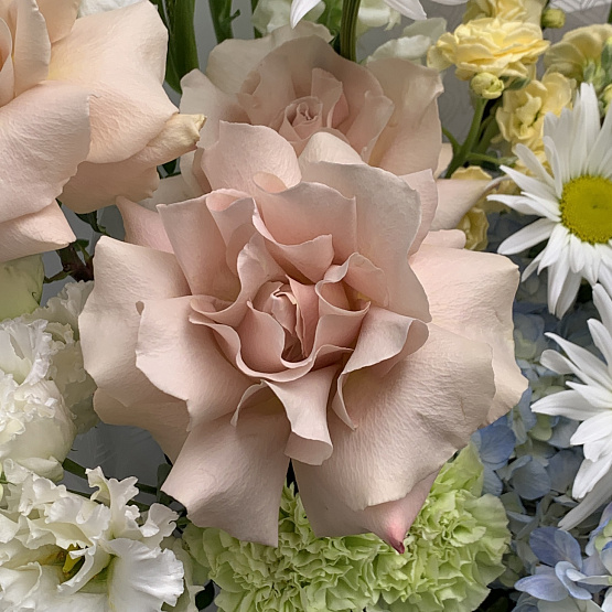 Весенний взгляд 