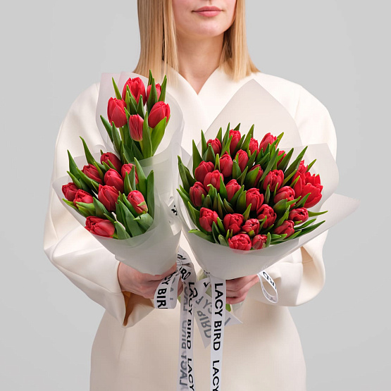 Моно тюльпанов красных