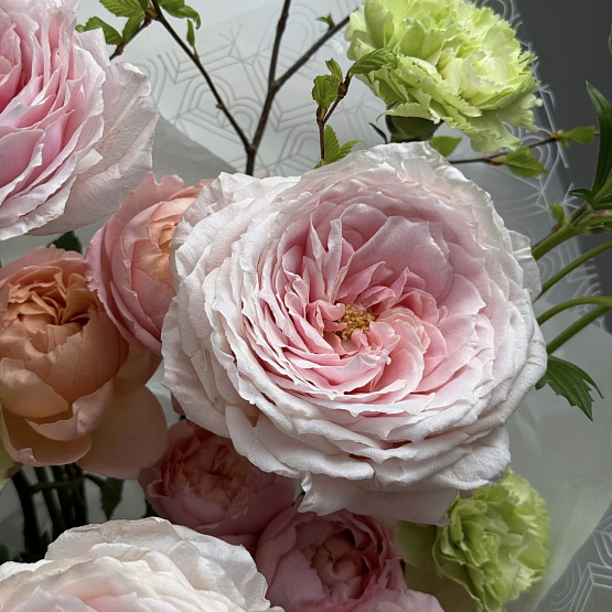 Сад фантазий 